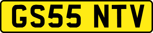 GS55NTV