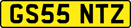 GS55NTZ