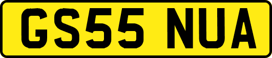 GS55NUA