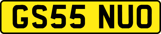 GS55NUO