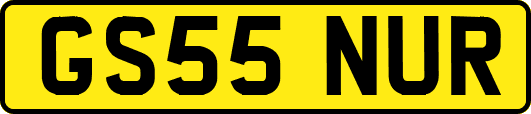 GS55NUR