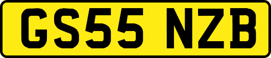 GS55NZB