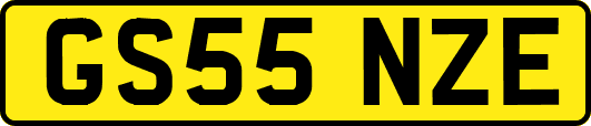 GS55NZE