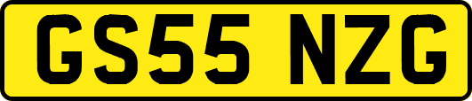 GS55NZG