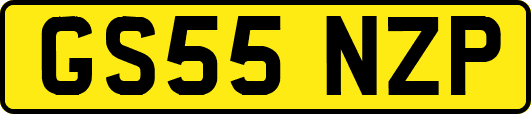 GS55NZP