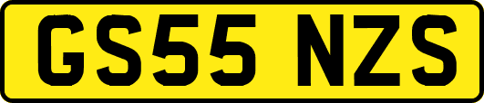 GS55NZS