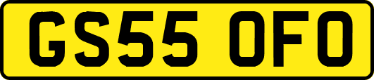 GS55OFO