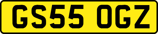 GS55OGZ