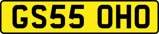 GS55OHO