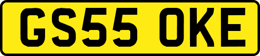 GS55OKE