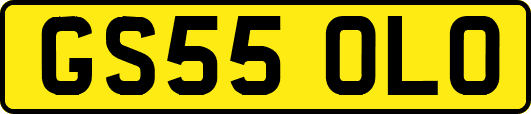GS55OLO