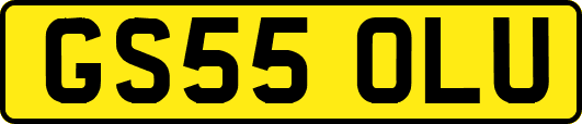 GS55OLU