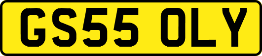 GS55OLY