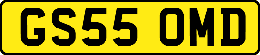 GS55OMD