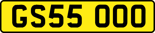 GS55OOO