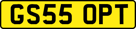 GS55OPT