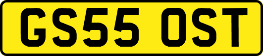GS55OST