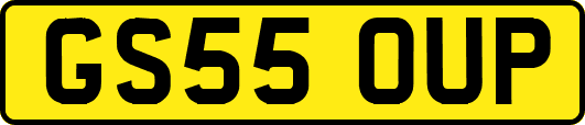 GS55OUP