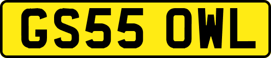 GS55OWL