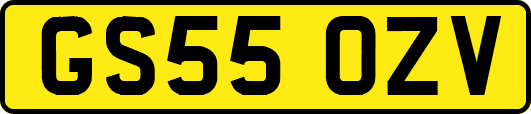 GS55OZV