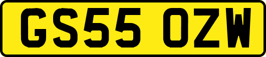 GS55OZW