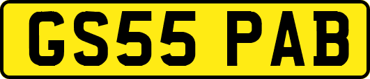 GS55PAB