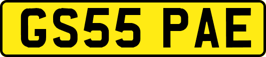 GS55PAE
