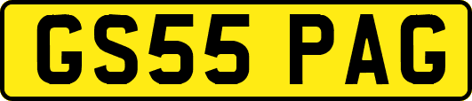GS55PAG