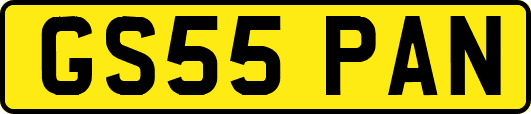 GS55PAN