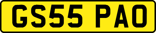 GS55PAO