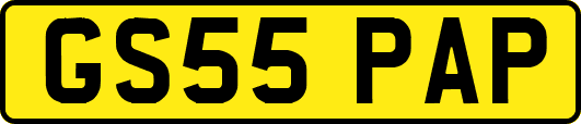 GS55PAP