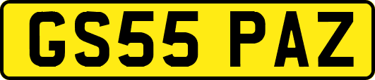 GS55PAZ