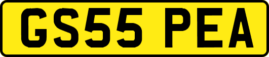 GS55PEA