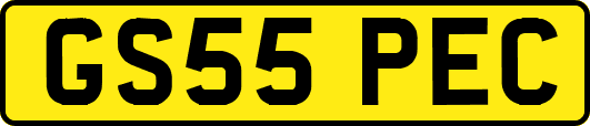 GS55PEC