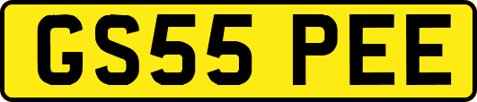 GS55PEE