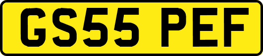 GS55PEF