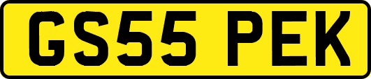 GS55PEK