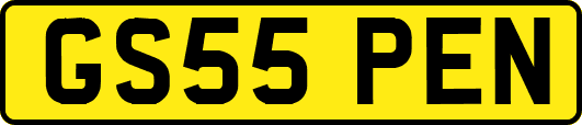 GS55PEN