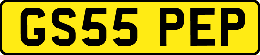 GS55PEP