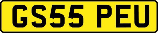 GS55PEU