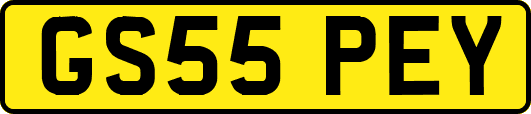 GS55PEY