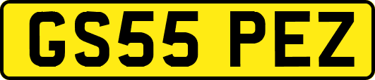 GS55PEZ