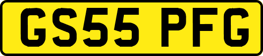 GS55PFG