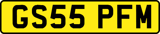 GS55PFM