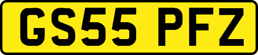 GS55PFZ