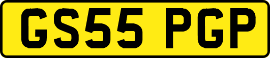 GS55PGP