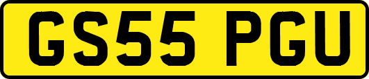 GS55PGU