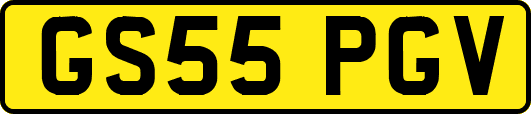 GS55PGV