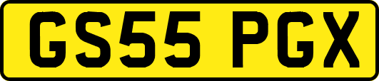GS55PGX
