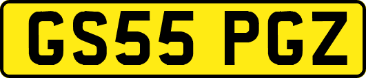 GS55PGZ